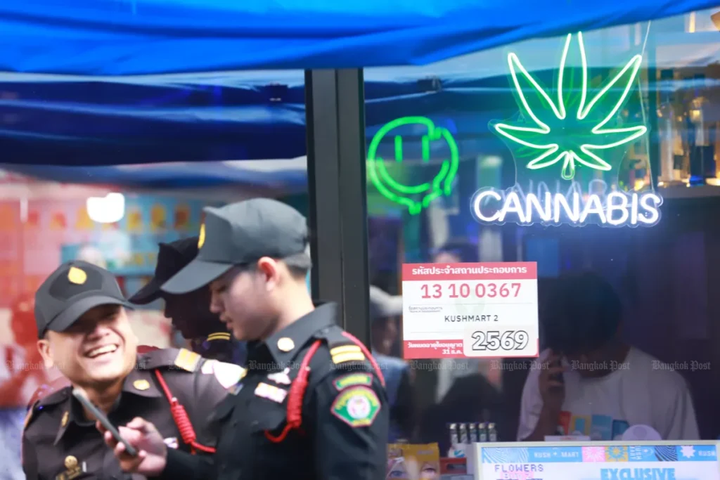 Cannabis Businesses Face Strict Penalties for Violations