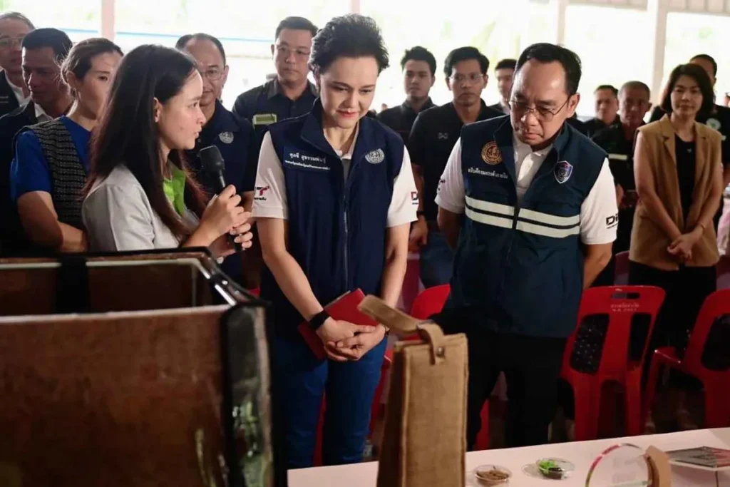 Coconut Collection Hubs Aim to Stabilize Farmer Incomes Amid Oversupply