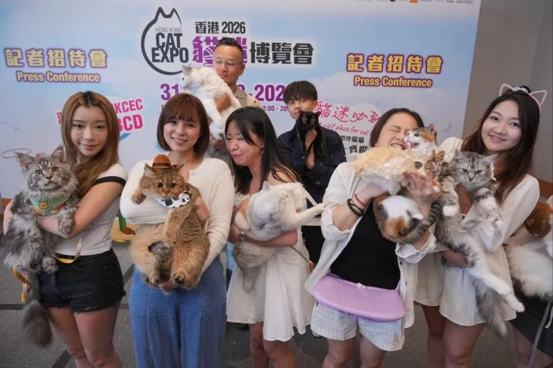 Hong Kong Cat Owners Boost Spending to Record Levels