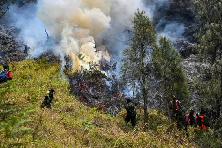 Mount Bromo Wildfire Rages Amidst El Niño Conditions