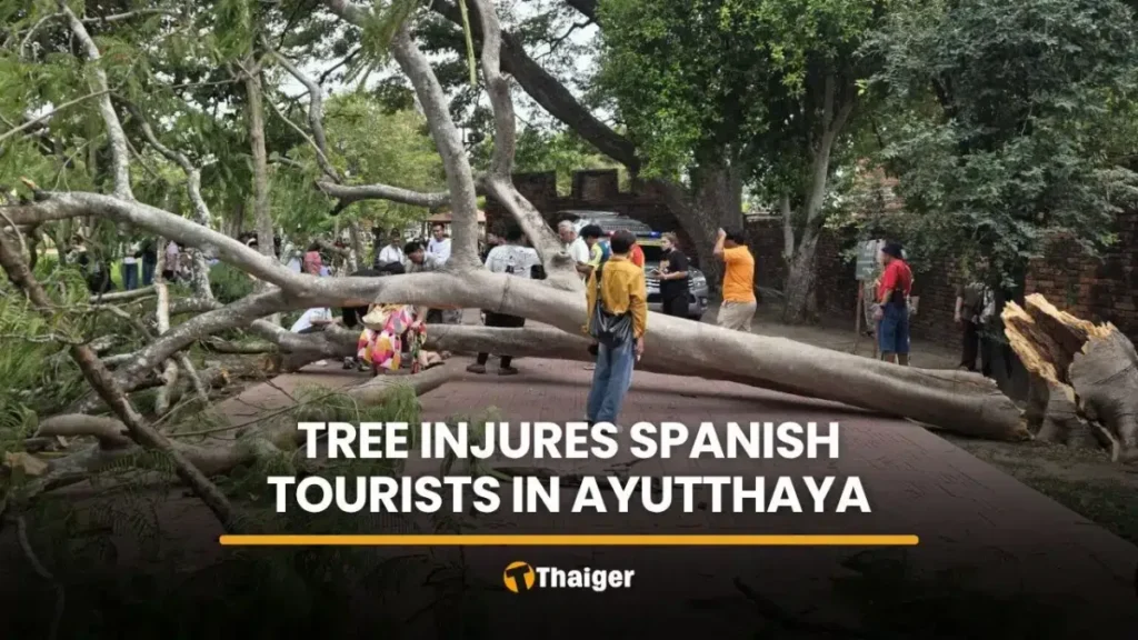 Ayutthaya Temple Tree Fall Injures 4 Spanish Tourists
