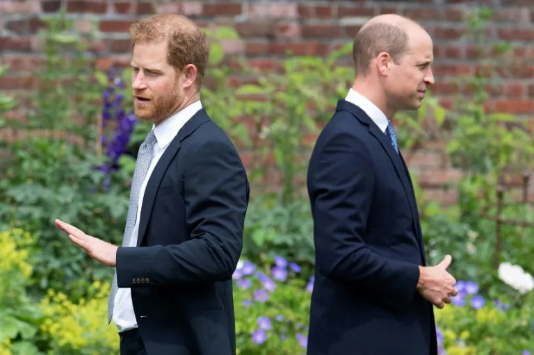 Royal Rift: Can William and Harry Mend Their Broken Bond?