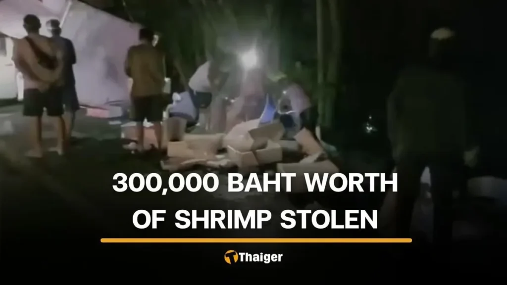 Lampang Villagers Convicted for Shrimp Theft After Truck Overturn